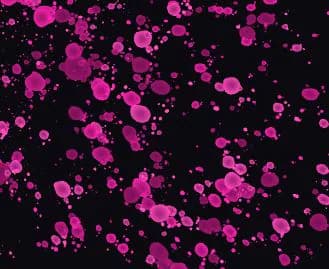 Salpicadura de tinta rosa neón sobre fondo negro